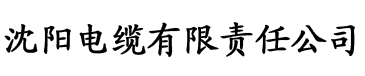 污污网站大全电缆厂logo